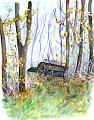 foret autaumne 011098